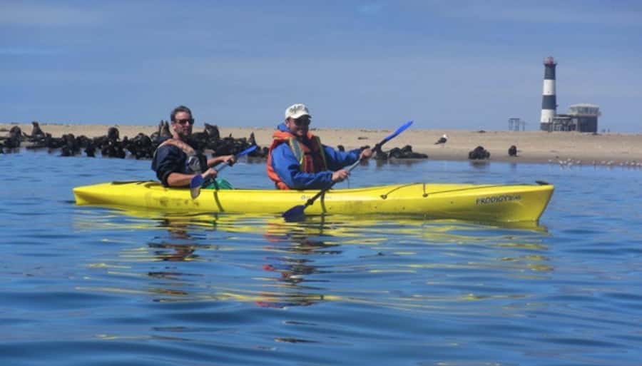 Walvis Bay: Pelican Point Kayaking Tour - Reaching the lighthouse and shipwreck