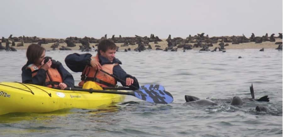 Walvis Bay: Pelican Point Kayaking Tour - The 4x4 ride across Walvis Bay’s edge