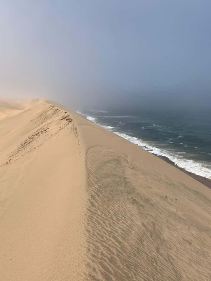 Walvis Bay: Pelican Point Seal and Sandwich Harbour Tour - Why the dune and sea combination is so special