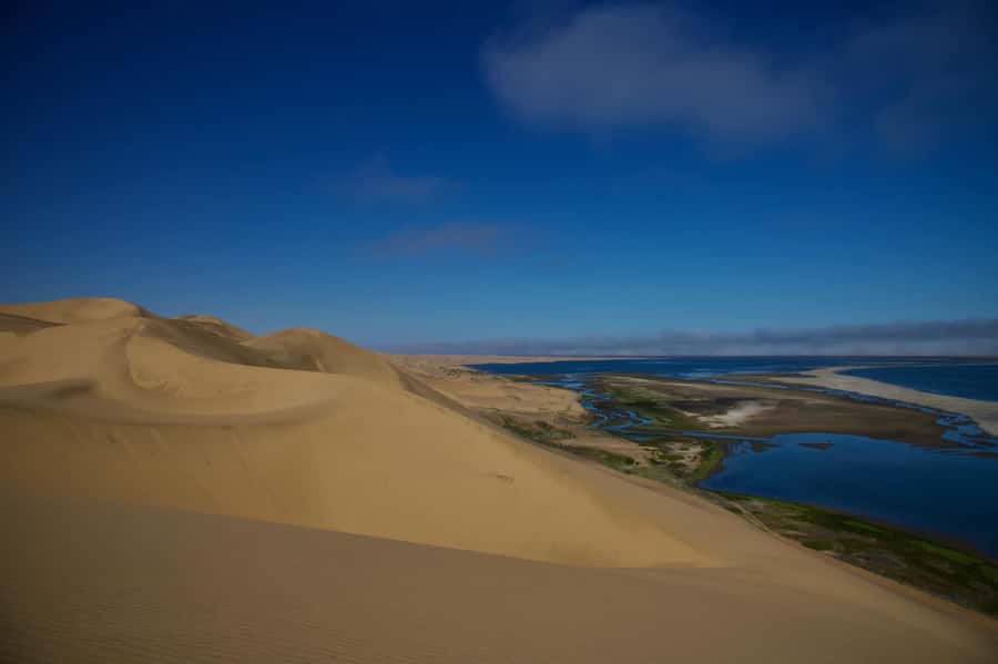 Walvis Bay: Sandwich Harbour Half-Day 4x4 Scenic Excursion - The beach route depends on the tide