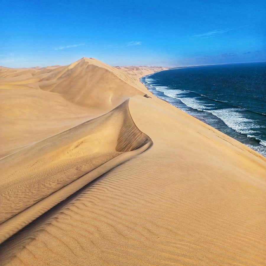 Walvis Bay: Sandwich Harbour Half-Day 4x4 Scenic Excursion - The return through the dunes and Kuiseb River Delta