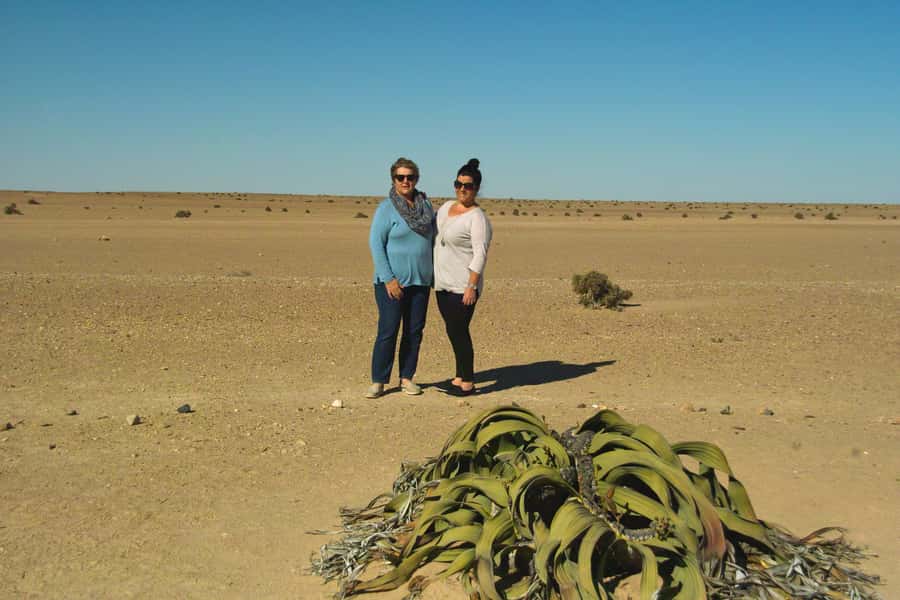 Walvis Bay Shore Excursion: Flamingos, Dune 7, Swakopmund - The coastal return and cruise-day value