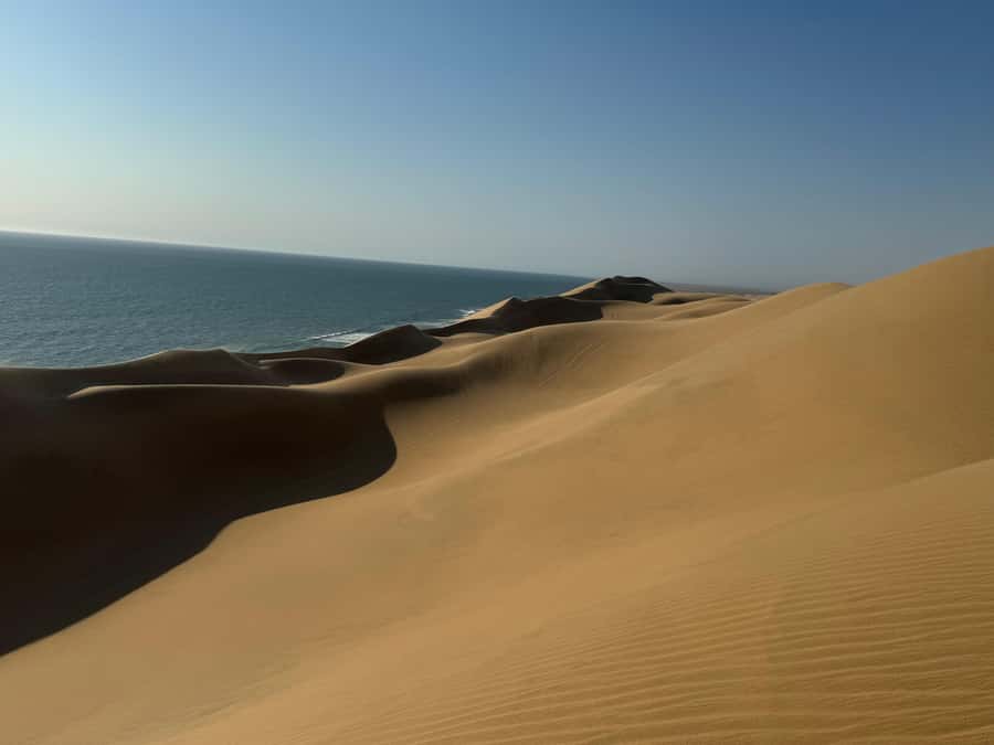 Walvisbay: Sandwich Harbour SUNSET Tour-End It Beautifully - Should you book the Desert Compass sunset tour?