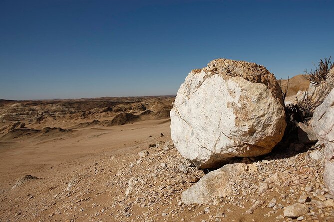 Welwitschia Tour from Swakopmund - Why the Moon Landscape is worth your afternoon