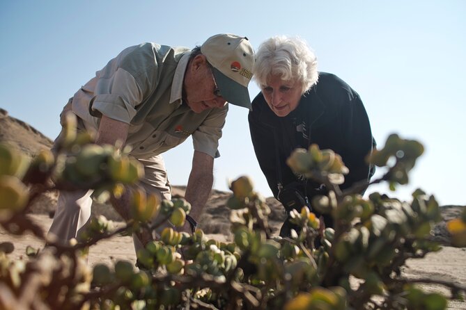 Welwitschia Tour from Swakopmund - What the afternoon timing adds