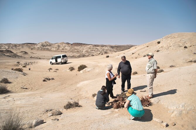 Welwitschia Tour from Swakopmund - Setting out from Swakopmund at 2:00 pm