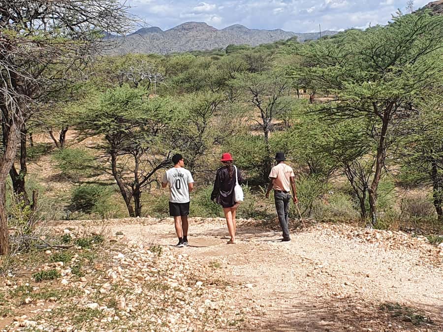 Windhoek: Bushman Walk with the San - Why the click language makes the walk special