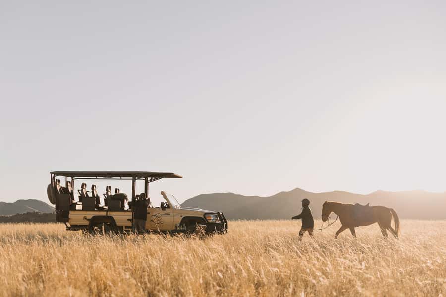 Zannier Game Drive with Hotel Pickup - From Windhoek to N/a’an ku sê