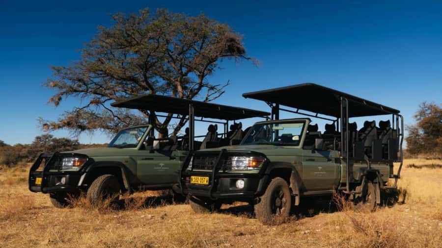 Zannier Game Drive with Hotel Pickup - The wildlife you might see
